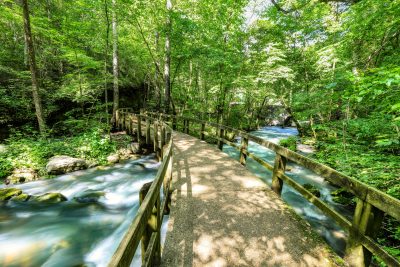 Respecting Indigenous Lands: A Land Acknowledgement Footbridge across a stream showing a path forward to future harmony.